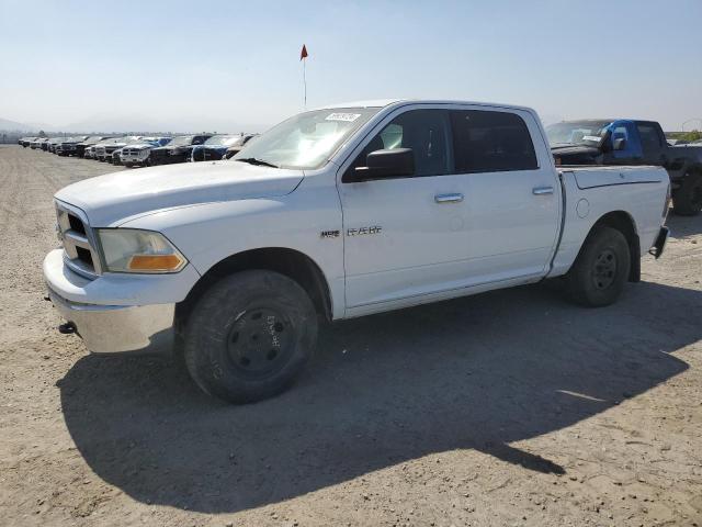 2010 Dodge Ram 1500 VIN: 1D7RB1CT1AS213905 Lot: 59929724