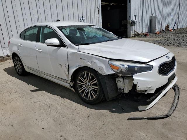 2014 Kia Cadenza Premium VIN: KNALN4D76E5132491 Lot: 58077984