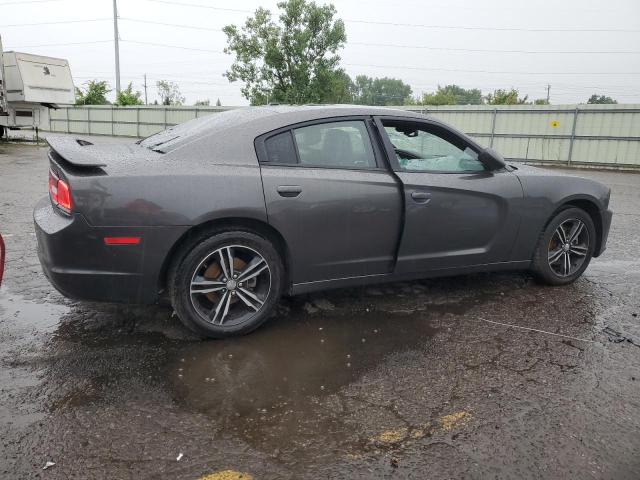 2014 Dodge Charger R/T VIN: 2C3CDXDT2EH248689 Lot: 60285914