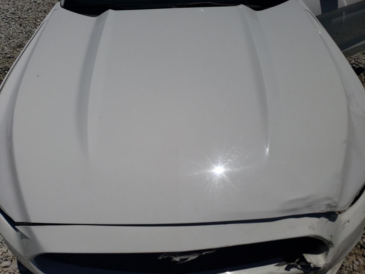 1FA6P8AM3H5228102 2017 Ford Mustang