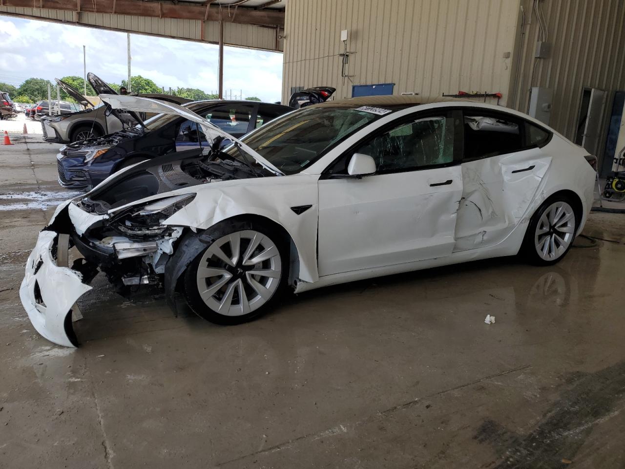 Lot #2726494324 2023 TESLA MODEL 3