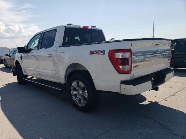 1FTFW1ED4PFC49774 2023 FORD F-150 - Image 2