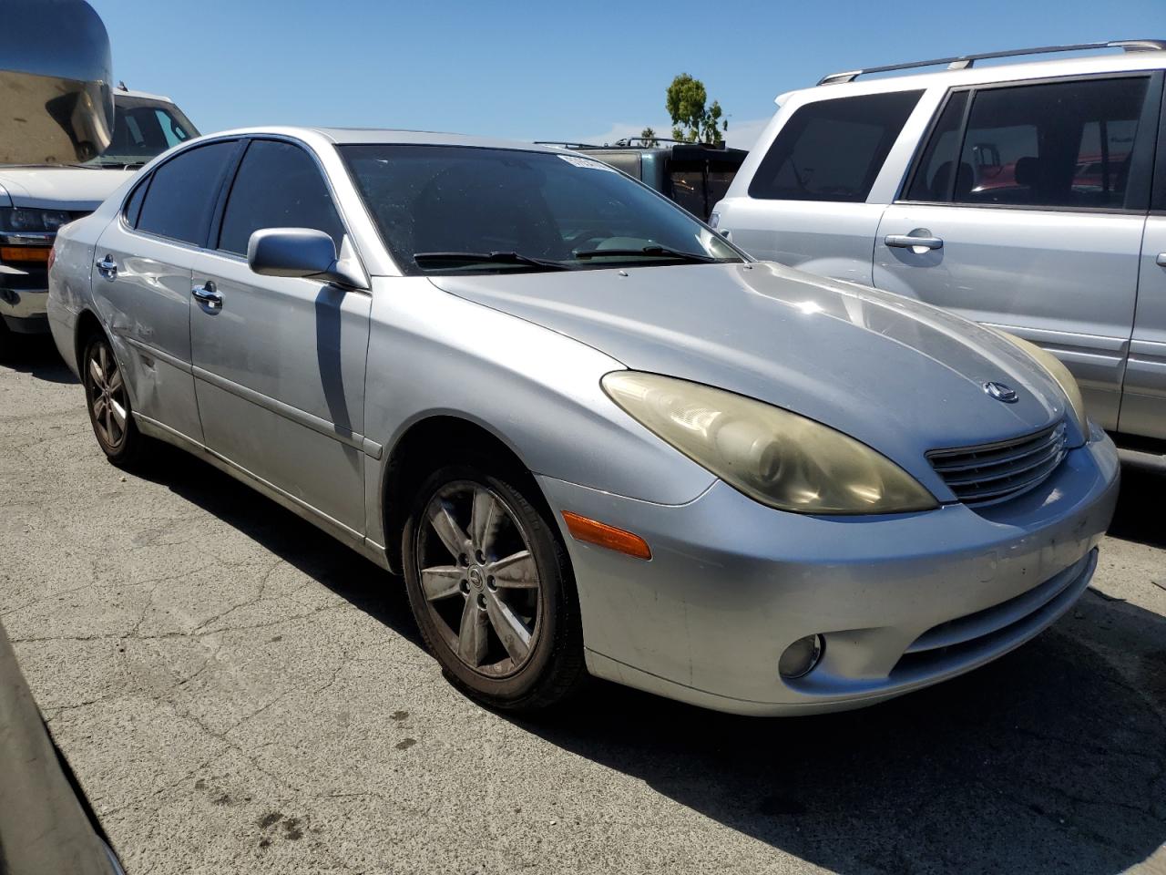 JTHBA30G365152014 2006 Lexus Es 330