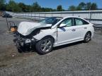 2018 HYUNDAI SONATA SPO - 5NPE34AFXJH613206