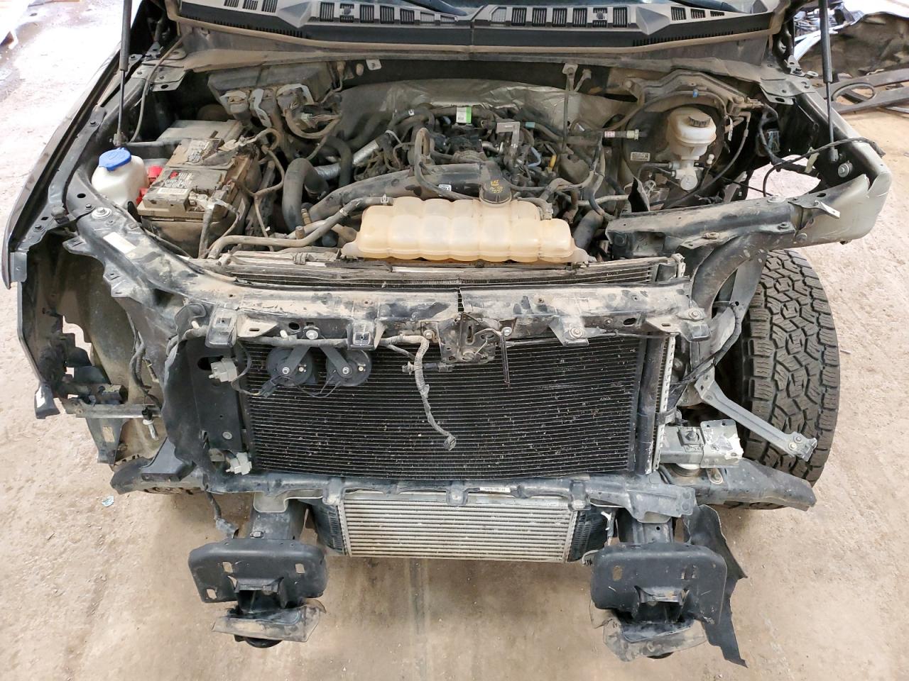 1FTEW1EP0KFA25268 FORD F-150 2019