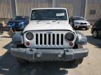 JEEP WRANGLER U photo