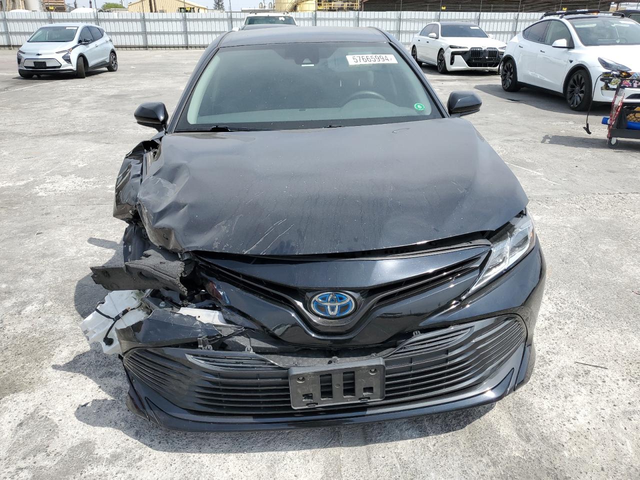 2020 Toyota Camry Le vin: 4T1C31AK3LU536170