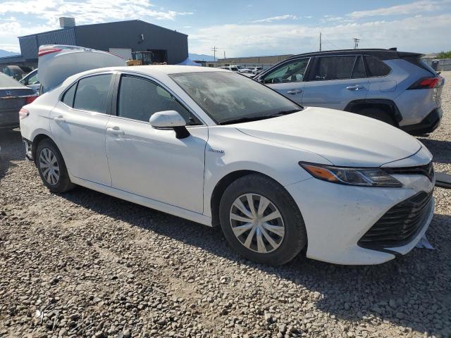 2019 TOYOTA CAMRY LE - 4T1B31HKXKU509449