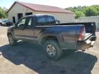 TOYOTA TACOMA ACC photo