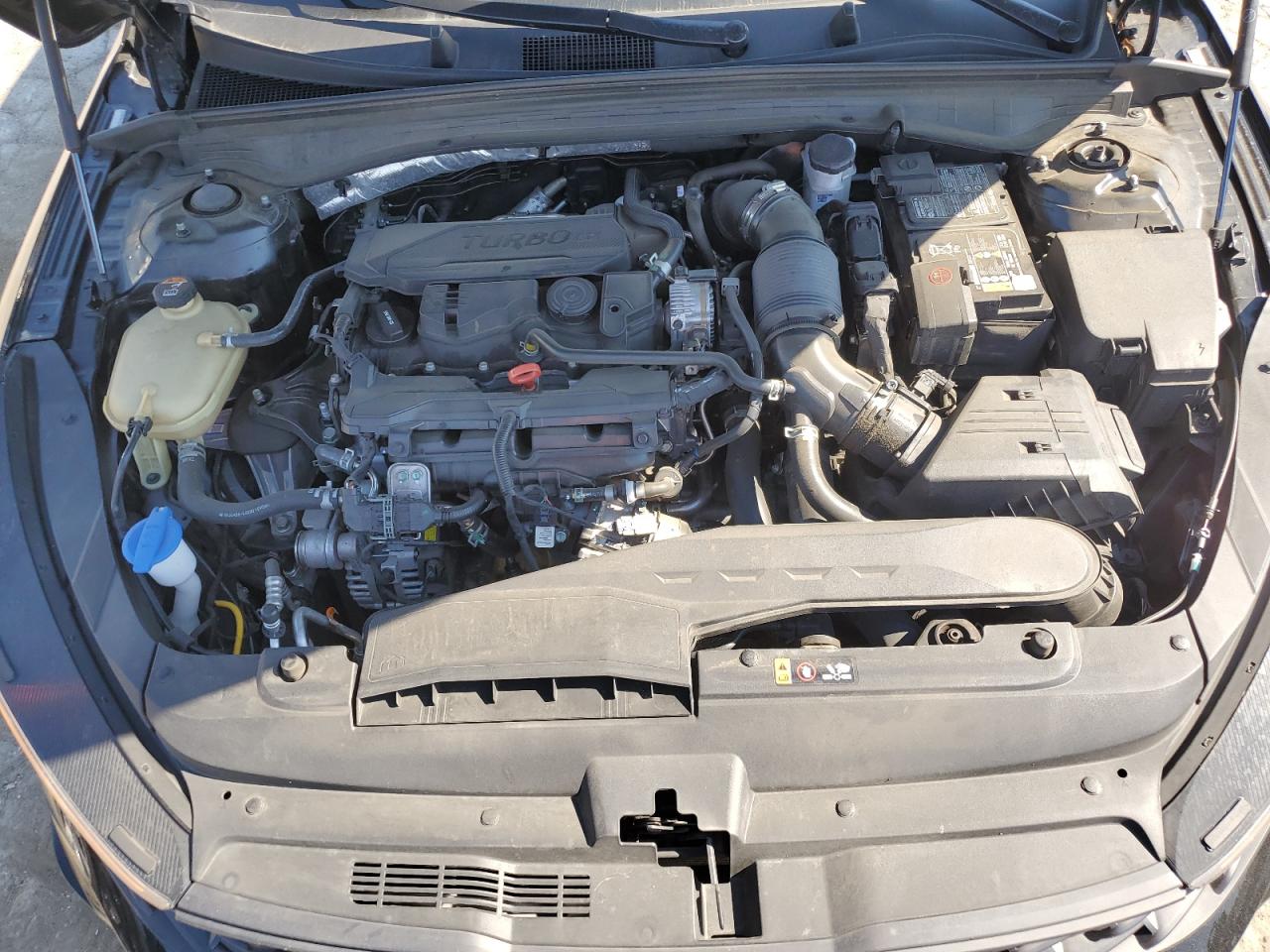 5XXG64J21RG239606 2024 Kia K5 Gt Line