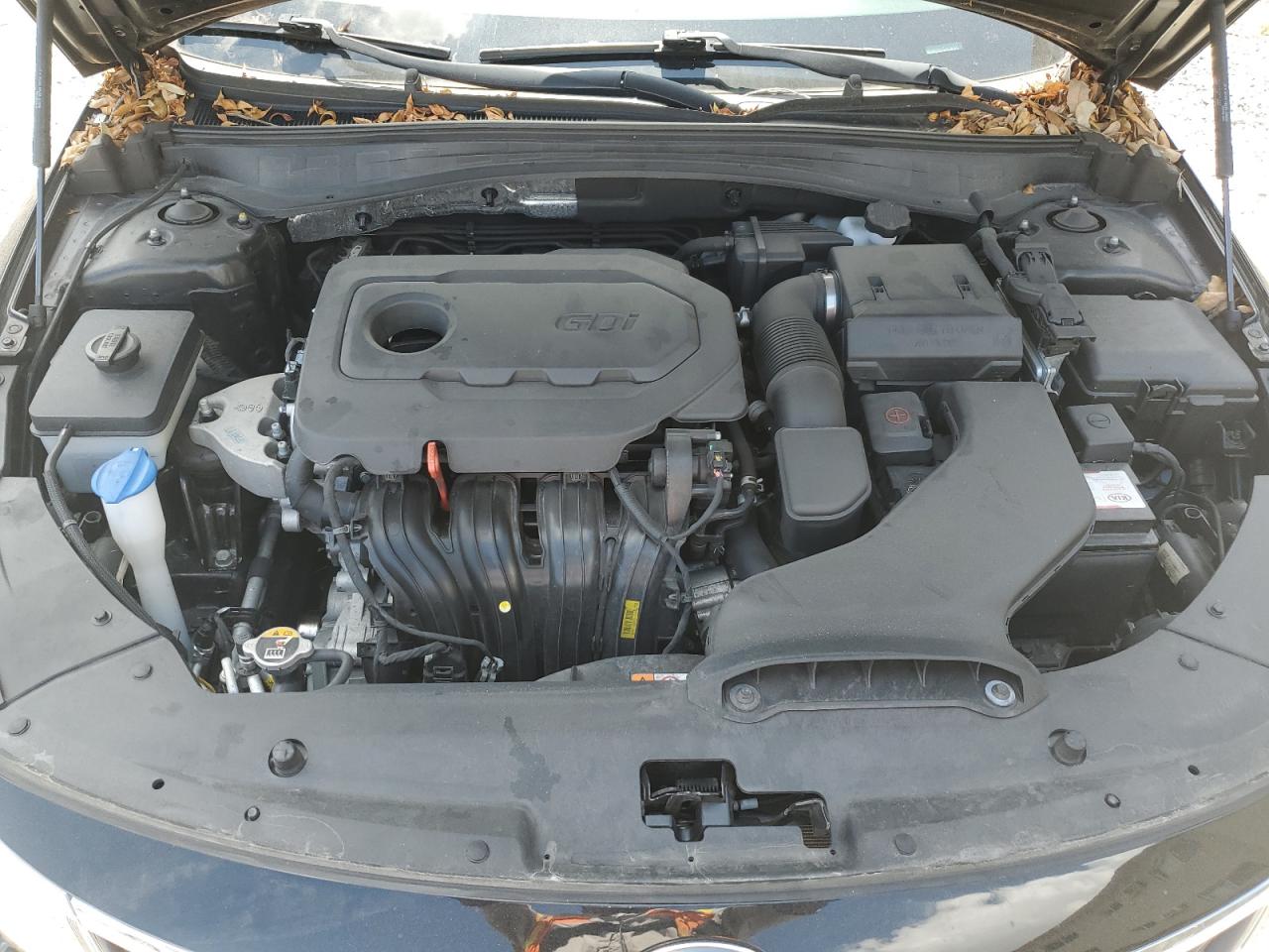 5XXGT4L33KG336262 2019 Kia Optima Lx