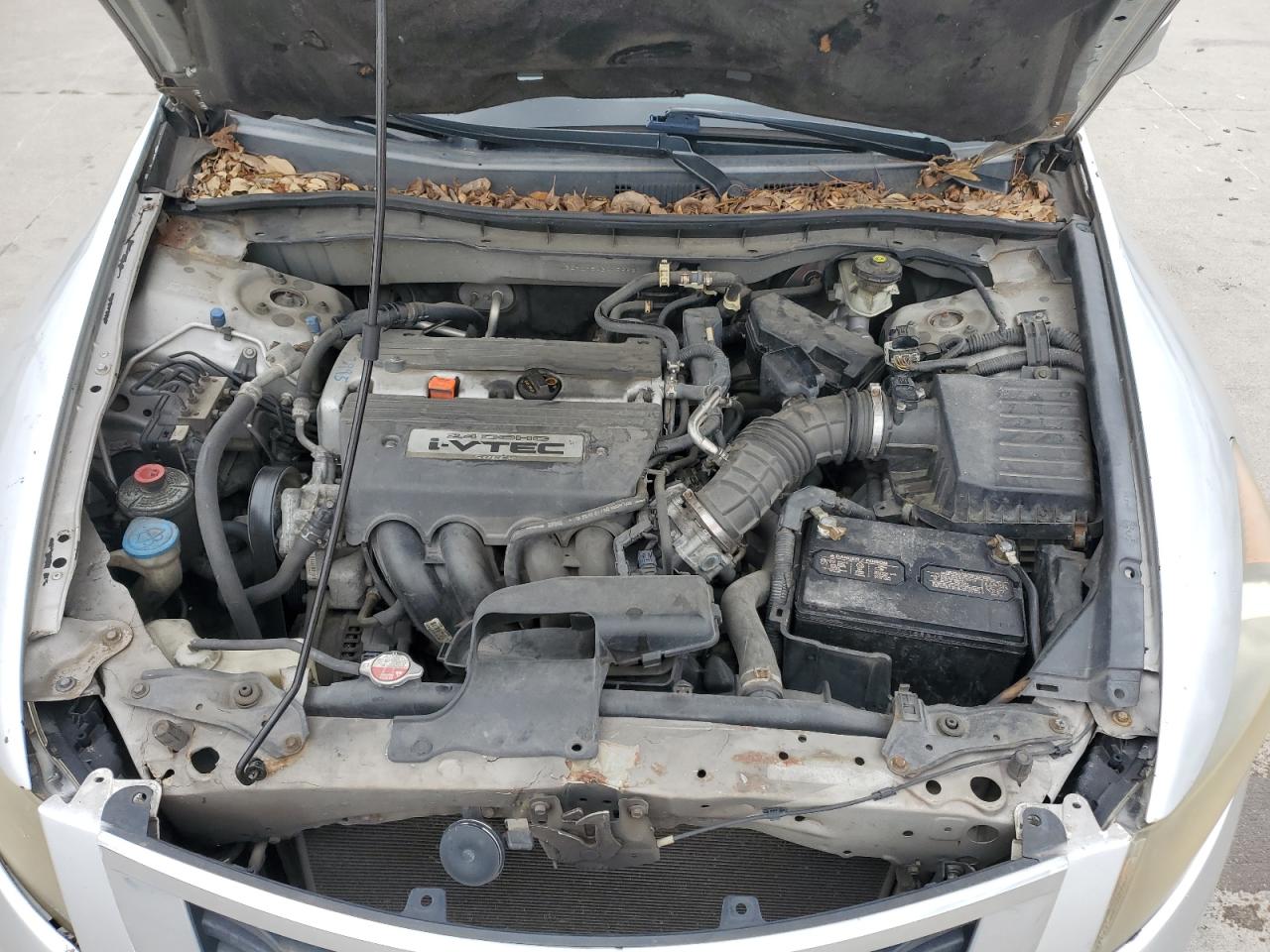 1HGCP2F64BA056621 2011 Honda Accord Se