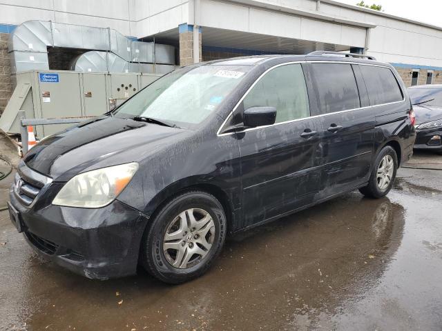 2005 Honda Odyssey Exl VIN: 5FNRL38625B136504 Lot: 57810474