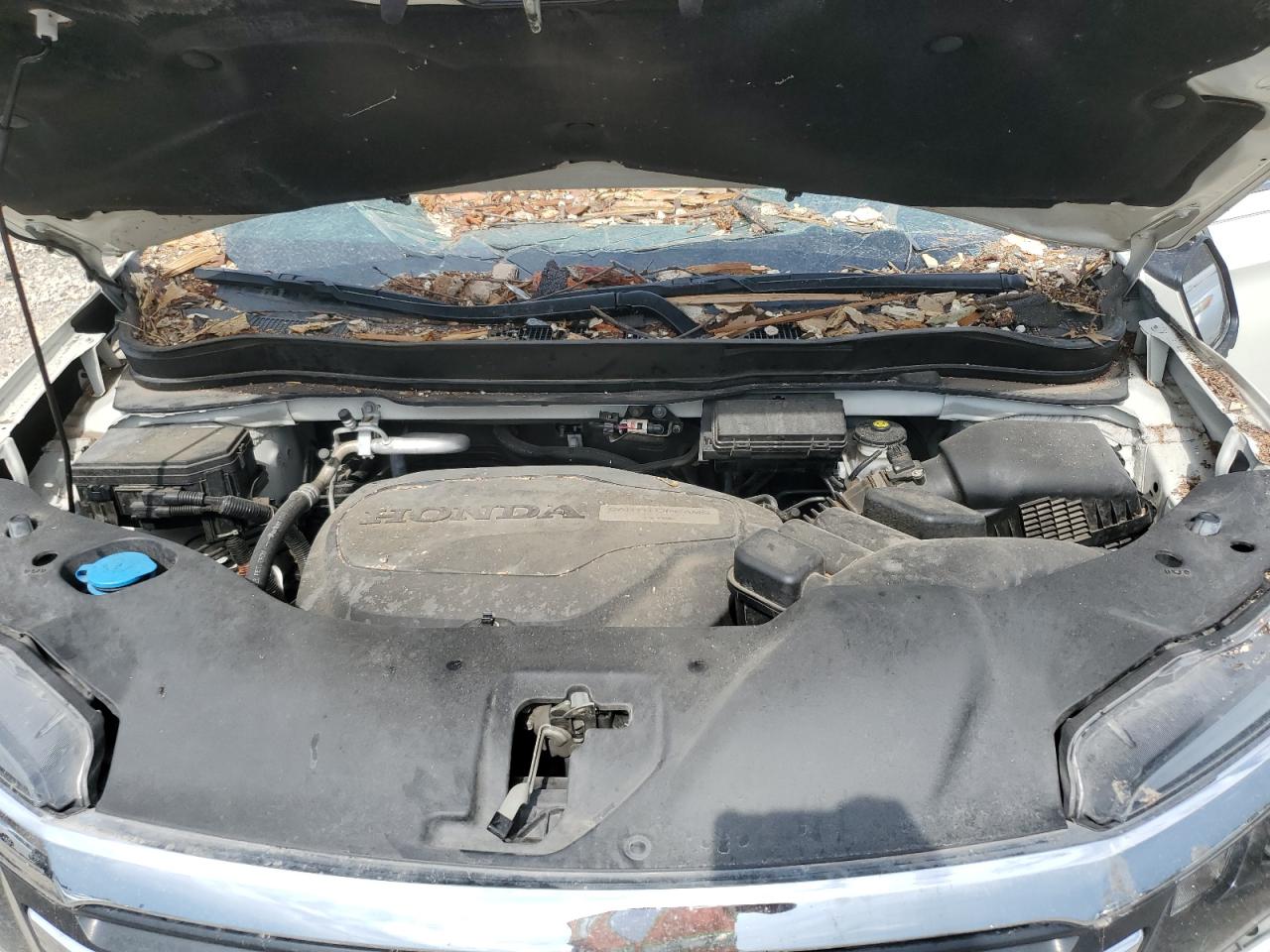 5FNYF5H54GB036459 2016 Honda Pilot Exl