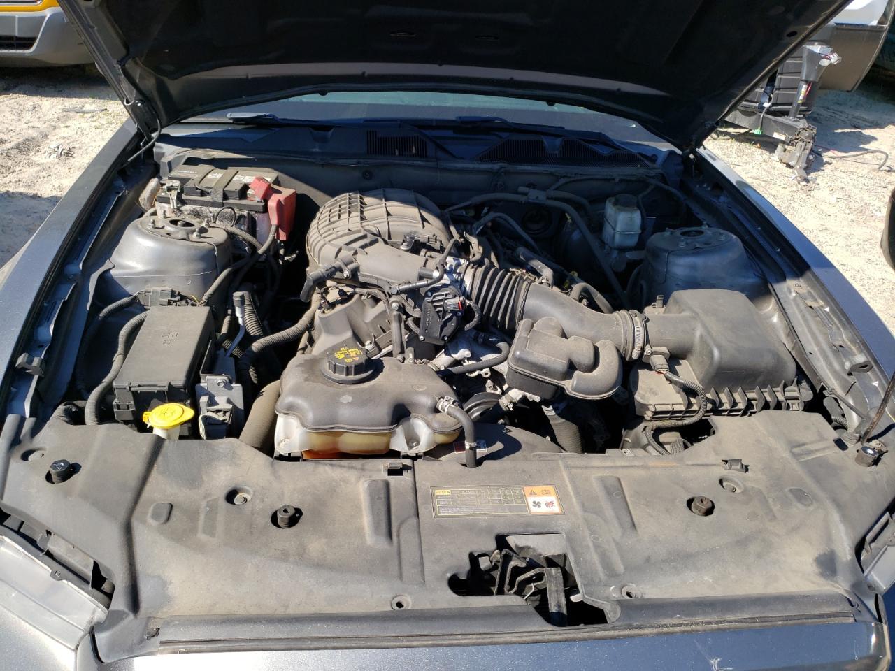 1ZVBP8AM8D5267560 2013 Ford Mustang