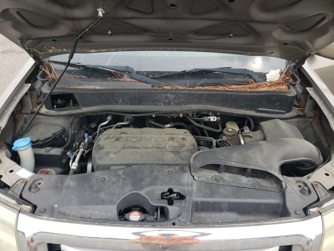 5FNYF4H60BB038611 2011 Honda Pilot Exl