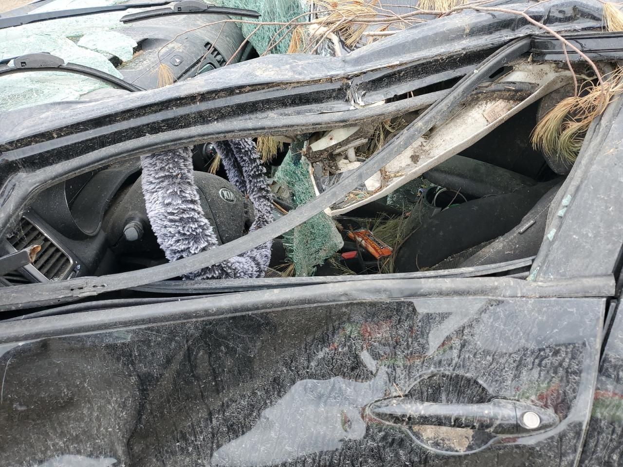 3KPFK4A76HE092872 2017 Kia Forte Lx