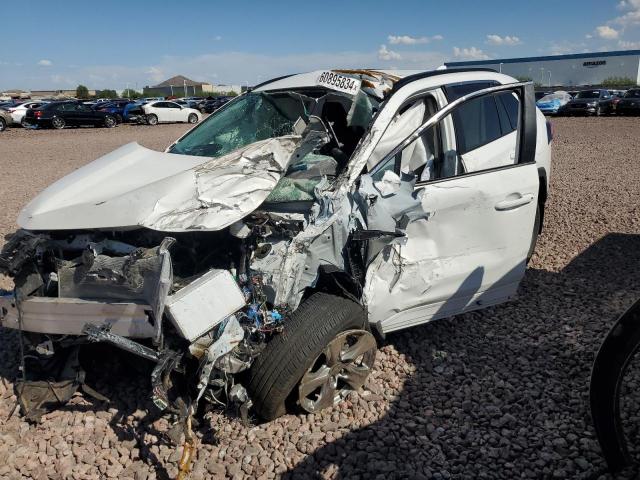 Global Auto Auctions: 2024 TOYOTA RAV4 XLE