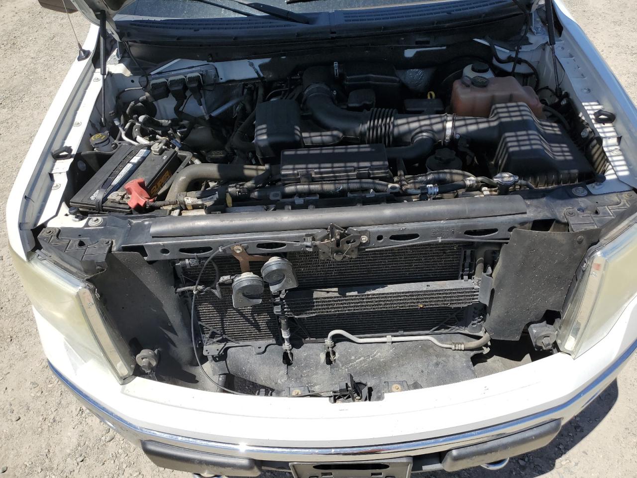 1FTPW14V59KC17344 2009 Ford F150 Supercrew