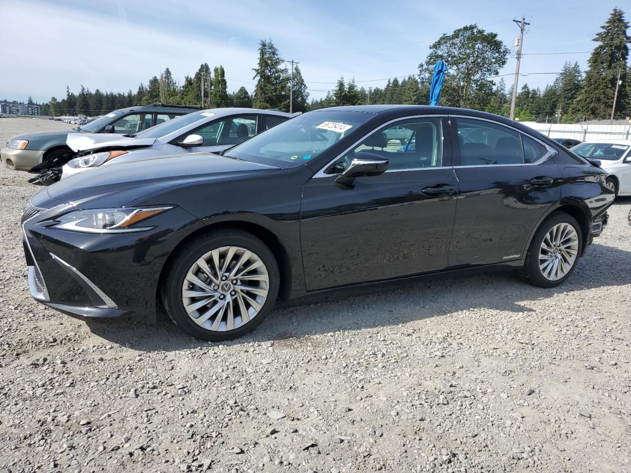 58AE21B18LU007016 2020 Lexus Es 300H Luxury