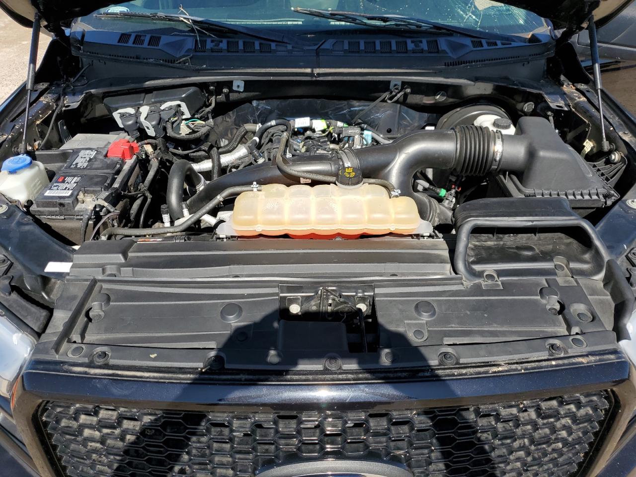 1FTEW1CP9KKC29853 2019 Ford F150 Supercrew