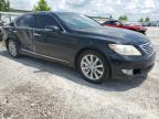 LEXUS LS 460L photo