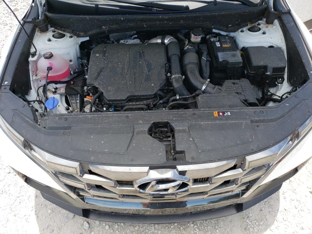 5NTJDDAF9RH100750 2024 Hyundai Santa Cruz Xrt