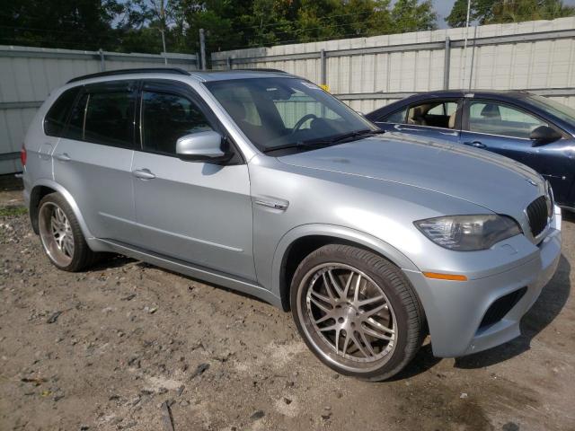 2010 BMW X5 M VIN: 5YMGY0C52ALK25154 Lot: 60041064