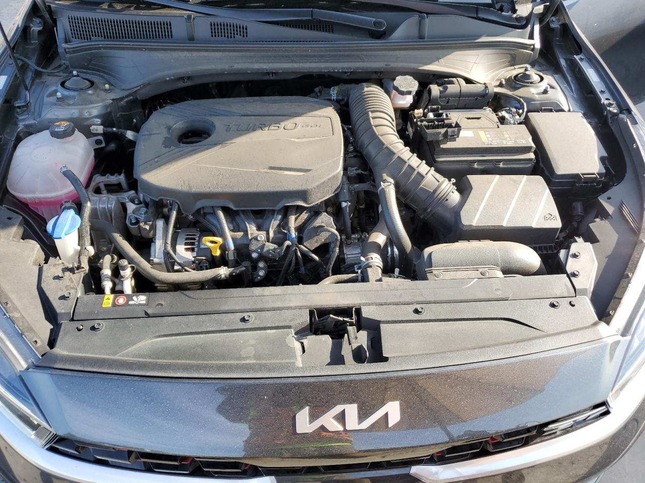 3KPF44AC5PE520050 2023 Kia Forte Gt