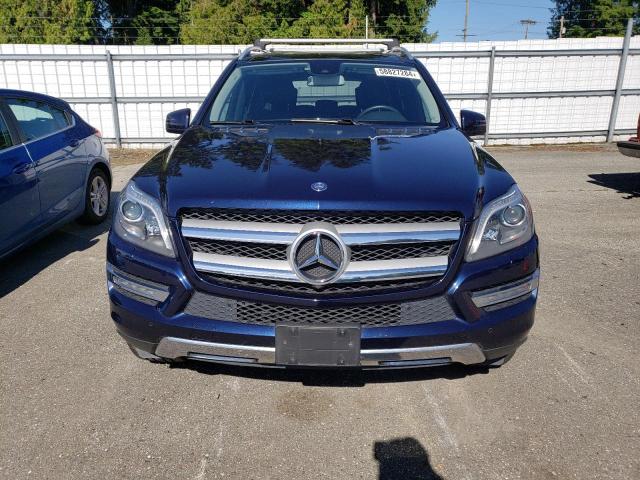 2013 Mercedes-Benz Gl 450 4Matic VIN: 4JGDF7CEXDA243844 Lot: 58827284