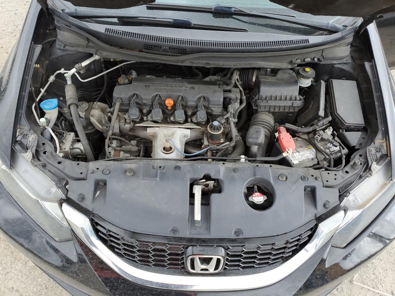 19XFB2F84DE238878 2013 Honda Civic Ex