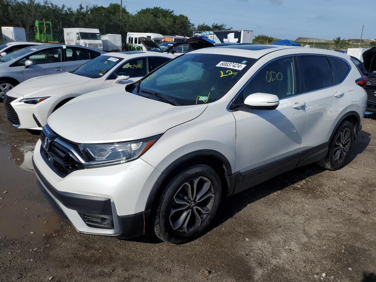 Lot #2981405615 2021 HONDA CR-V EXL