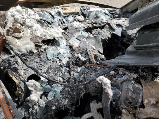 2004 Volkswagen New Beetle Gls VIN: 3VWCM31Y54M336301 Lot: 59276604