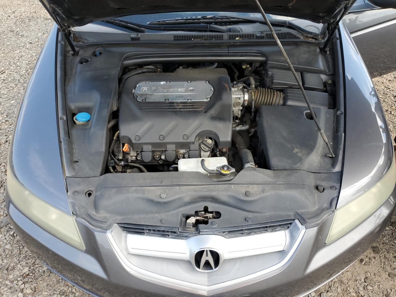 19UUA66266A065479 2006 Acura 3.2Tl