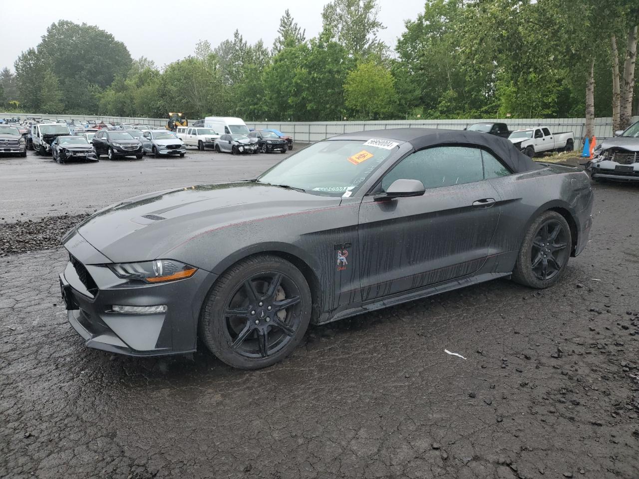 1FATP8FF1K5143604 FORD MUSTANG 2019