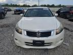 HONDA ACCORD EXL photo