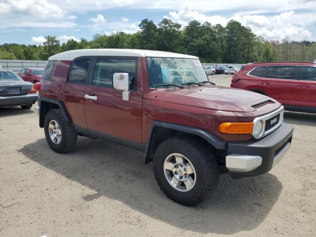 2008 Toyota Fj Cruiser VIN: JTEBU11F48K032998 Lot: 58928454
