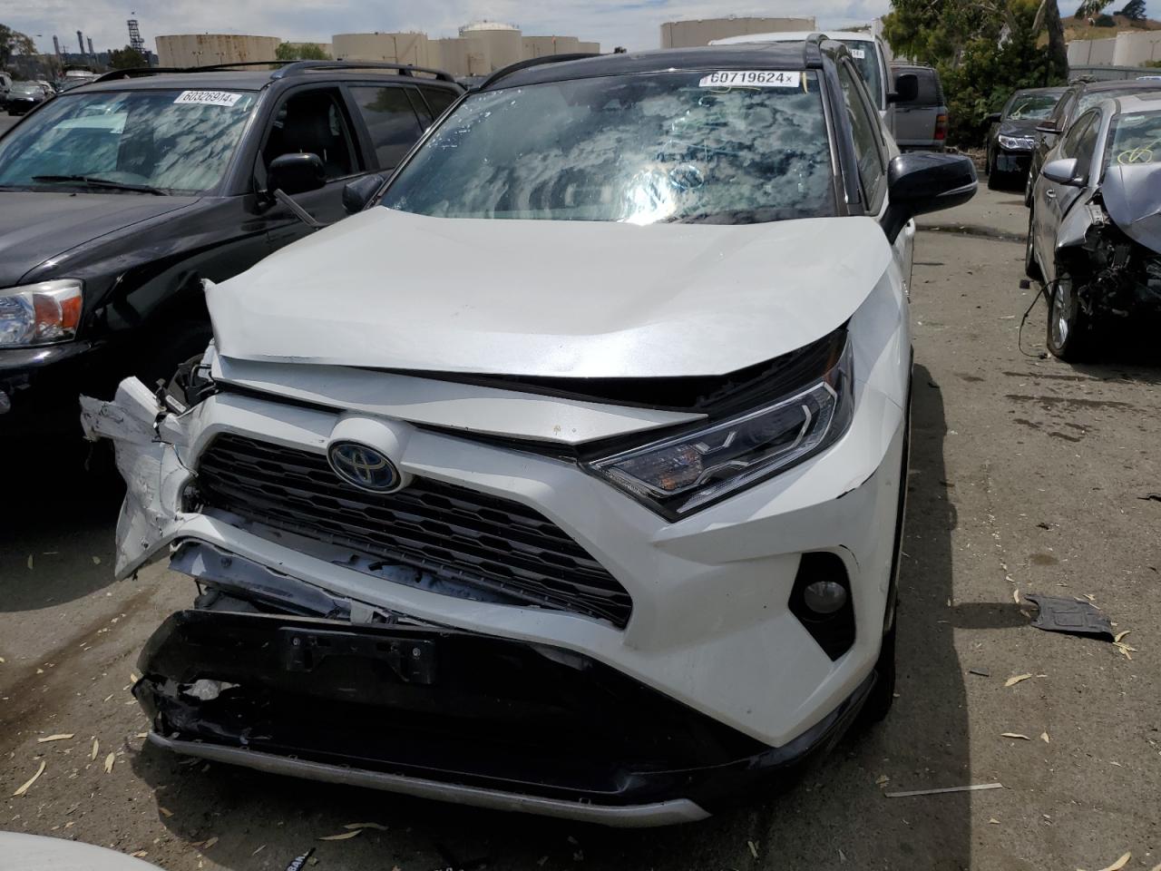 2019 Toyota Rav4 Xse vin: 2T3EWRFV8KW001827