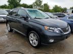 LEXUS RX 450 photo