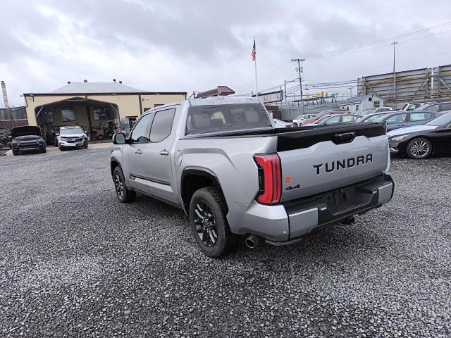 2023 Toyota Tundra Crewmax Platinum VIN: 5TFNC5DB1PX034150 Lot: 57485484