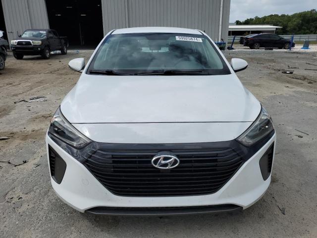 2019 Hyundai Ioniq Blue VIN: KMHC65LC3KU119165 Lot: 59925874