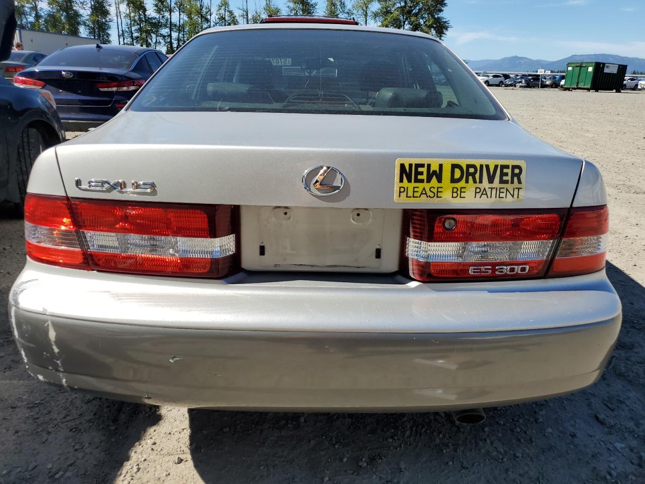 JT8BF28G010315210 2001 Lexus Es 300