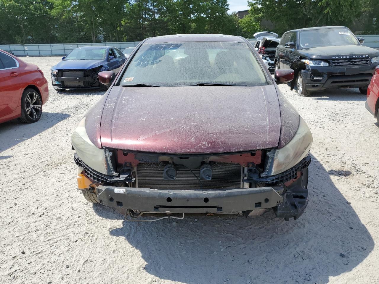 Lot #2825334783 2010 HONDA ACCORD EXL