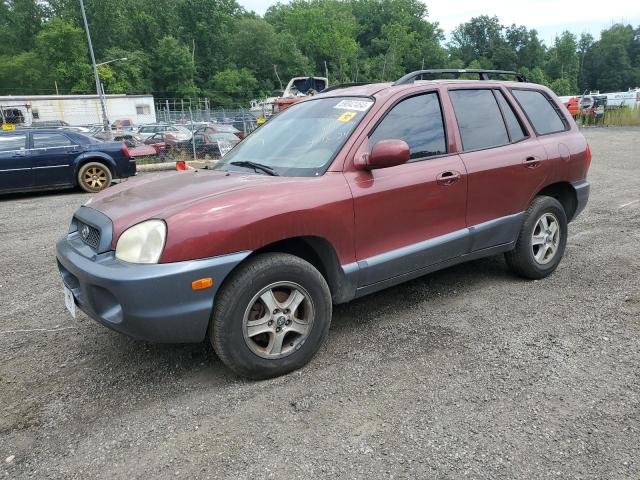 2004 Hyundai Santa Fe Gls VIN: KM8SC73D94U843910 Lot: 59042464