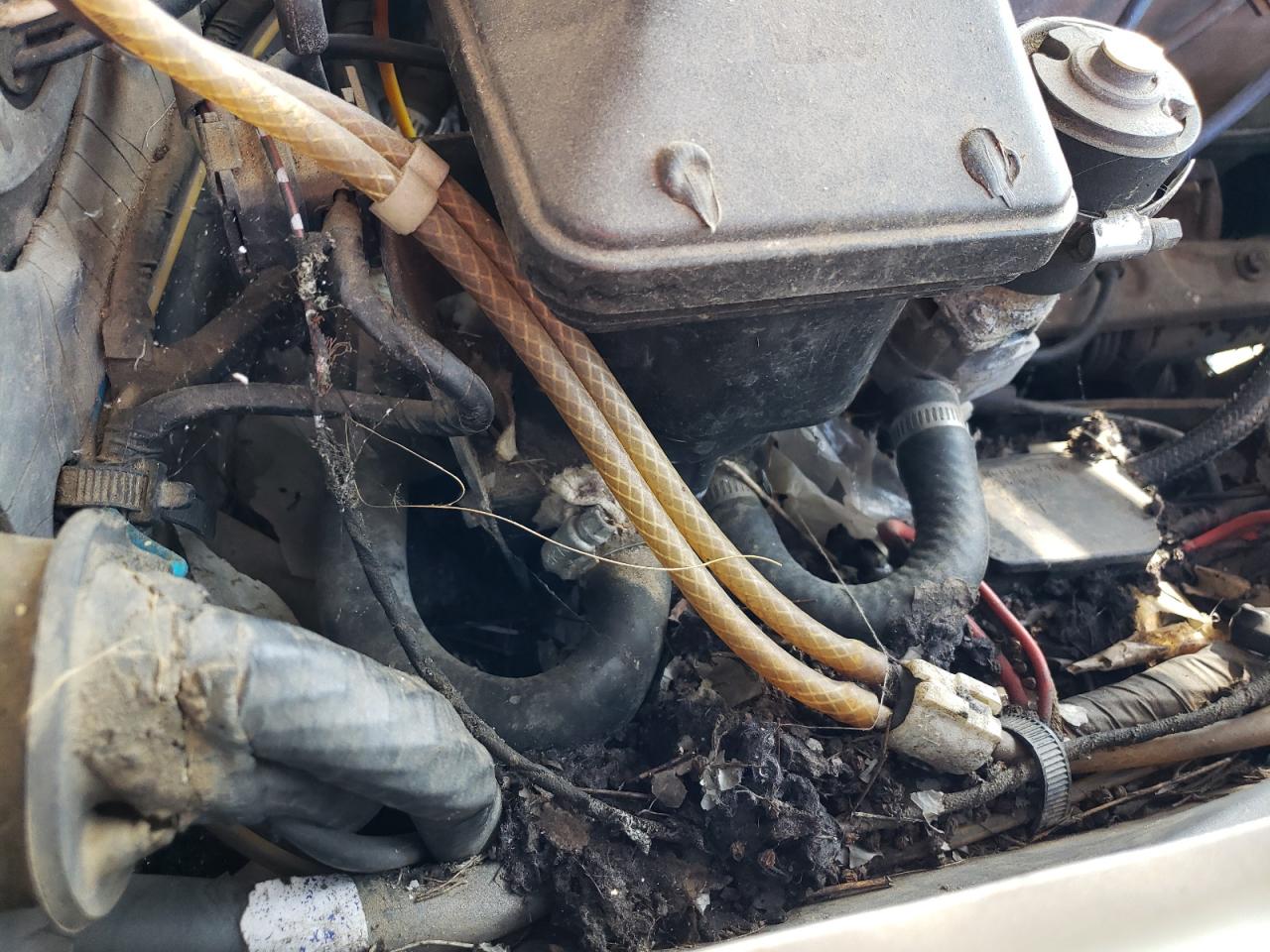 WDB10702412031324 1980 Mercedes-Benz 450 Scl