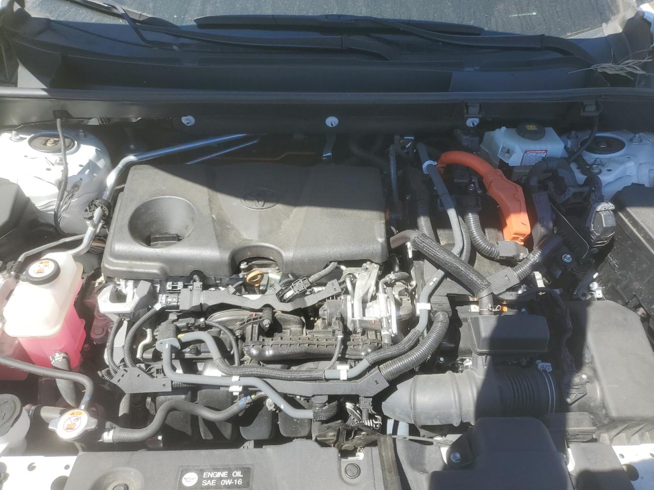 2T3RWRFV2LW061850 2020 Toyota Rav4 Xle