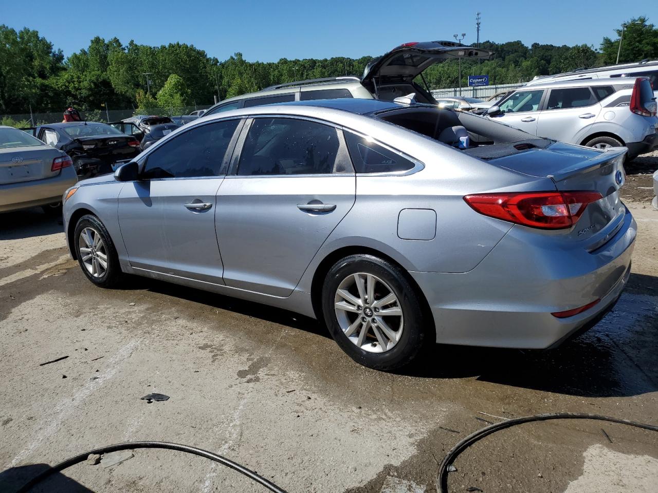 2016 Hyundai Sonata Se vin: 5NPE24AF1GH384877