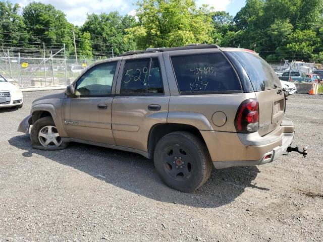 2003 Chevrolet Trailblazer VIN: 1GNDT13S432374638 Lot: 57050524