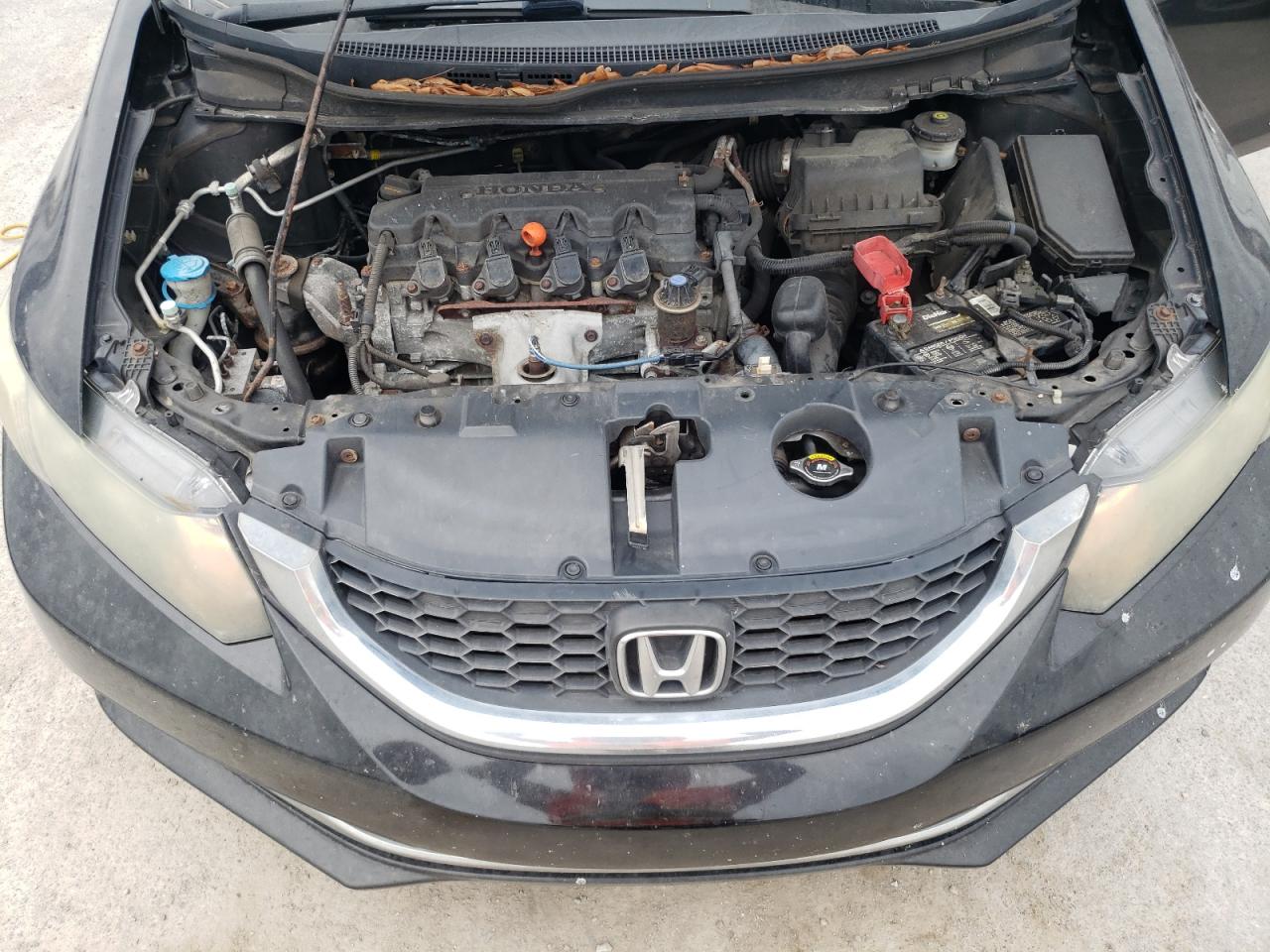 2HGFB2F51FH501360 2015 Honda Civic Lx 2HGFB2F51FH501360 2015 Honda Civic Lx