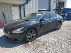 NISSAN MAXIMA S photo